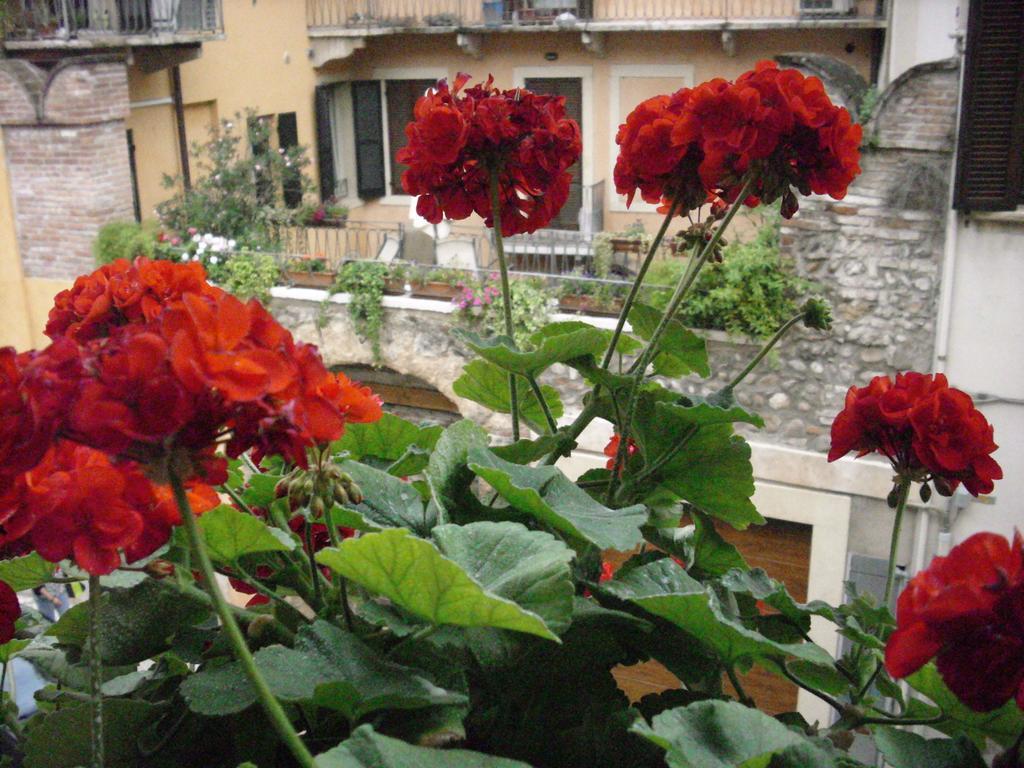 Affittacamere A Casa Di Luca