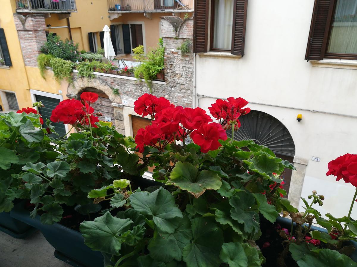 Affittacamere A Casa Di Luca Verona