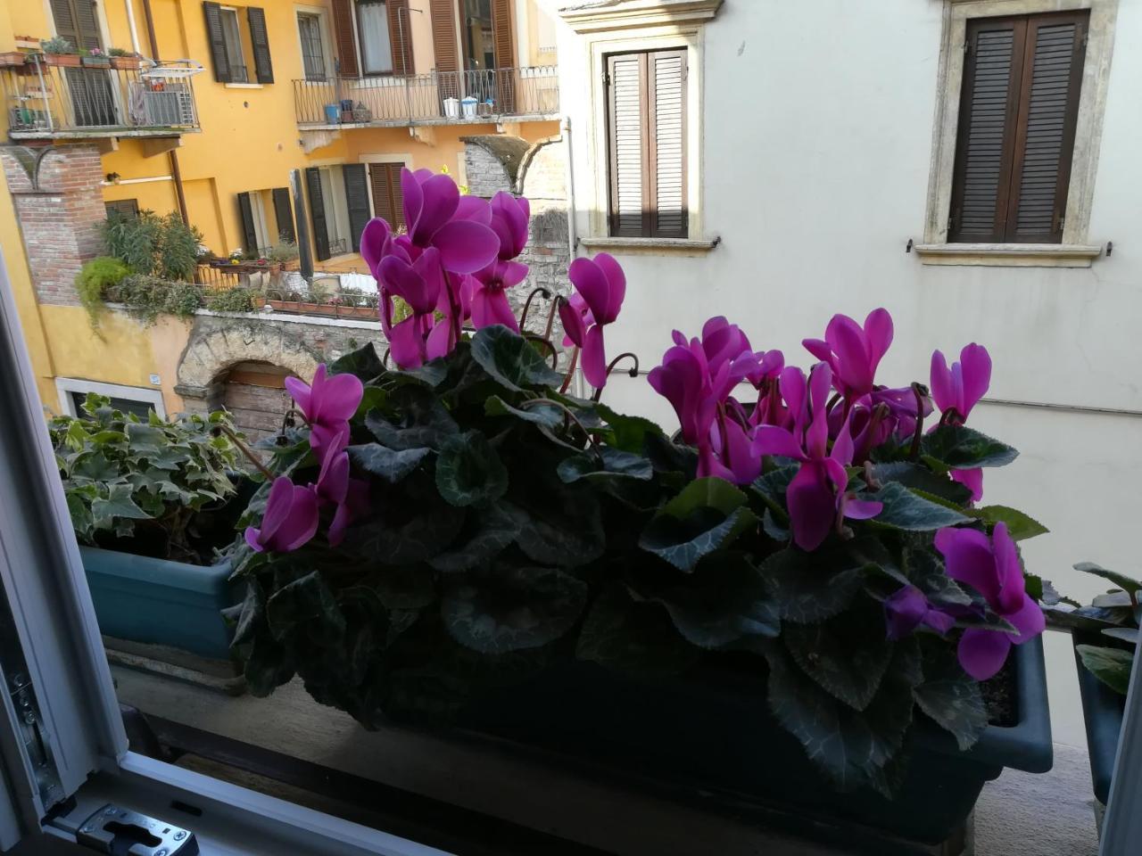 A Casa Di Luca Affittacamere *